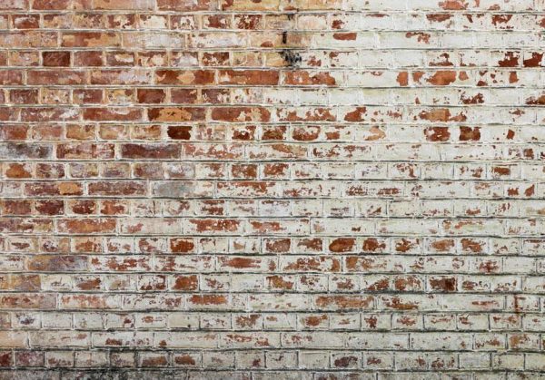 Wall Mural - Walls of Memory
