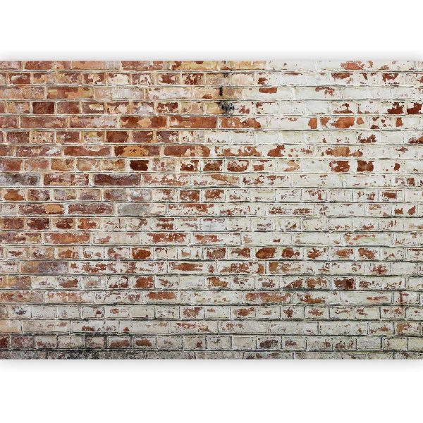 Wall Mural - Walls of Memory