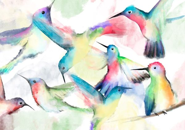 Wall Mural Wallpaper - Watercolor Birds - Image 6