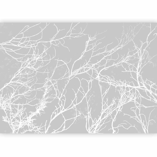Wall Mural Wallpaper - White Trees - Image 4
