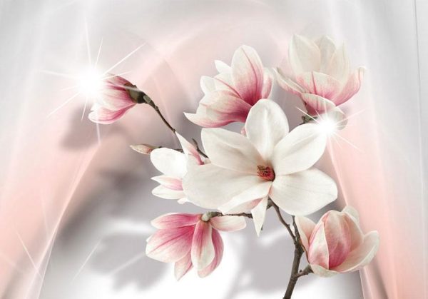 Wall Mural Wallpaper - White magnolias - Image 6