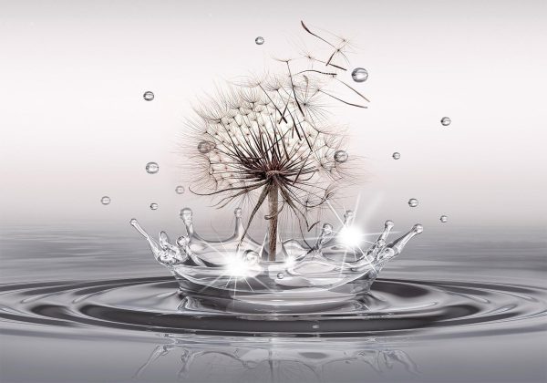 Wall Mural Wallpaper - Wind Drops - Image 6