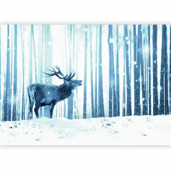 Wall Mural Wallpaper - Winter animals - deer motif on a forest background in shades of blue - Image 5