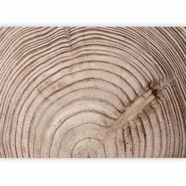 Wall Mural Wallpaper - Wood grain - Image 4