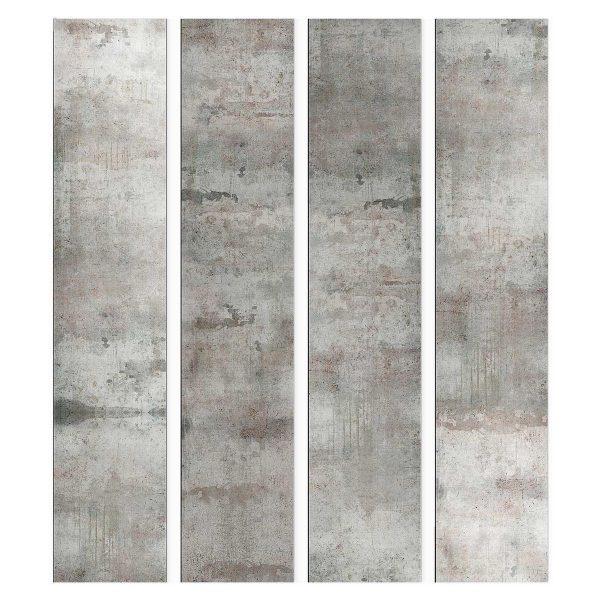 Wallpaper - Gray pigeon