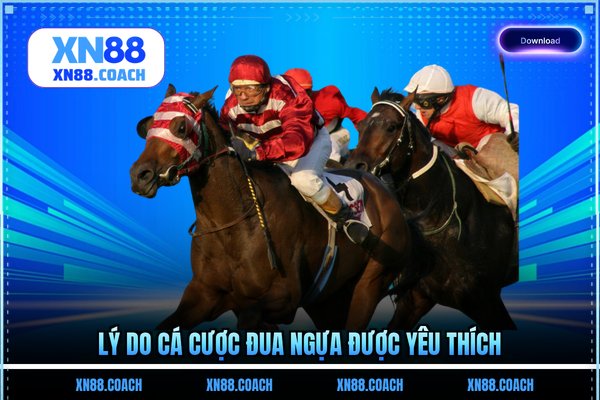 Lý do cá cược đua ngựa được yêu thích Lý do cá cược đua ngựa được yêu thích