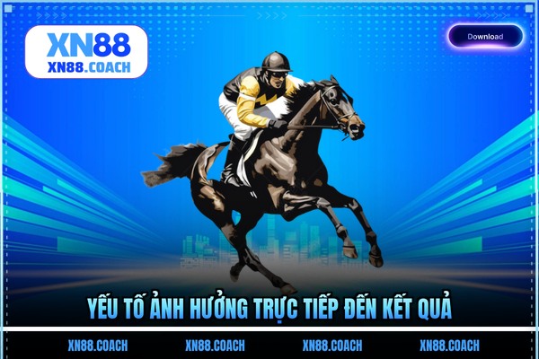 Yếu tố ảnh hưởng trực tiếp đến kết quả Yếu tố ảnh hưởng trực tiếp đến kết quả